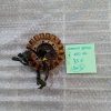 STATOR BMW F 650 GS