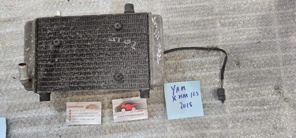 20241014_113142 radiador agua yamaha xmax 125