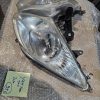 20250220_190404 Chasis ktm duke 125