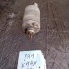 MOTOR ARRANQUE YAMAHA XMAX 250 I